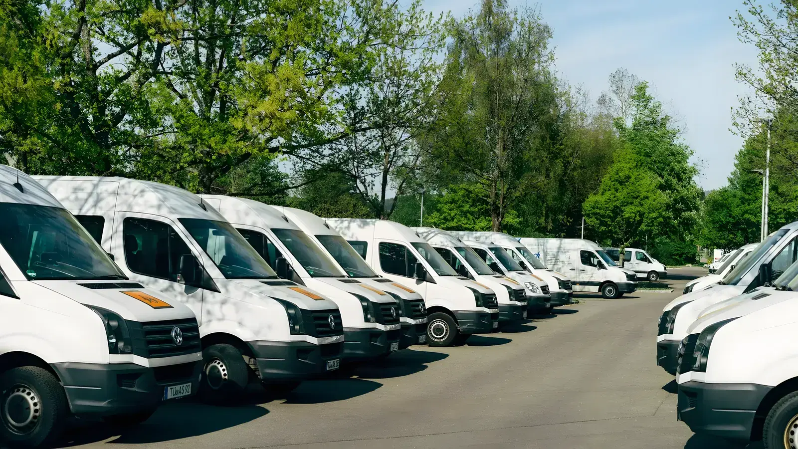 A long row of white Volkswagen vans parked nose out in a tree lined lot
